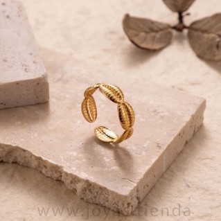 Anillo Labios Entrelazados