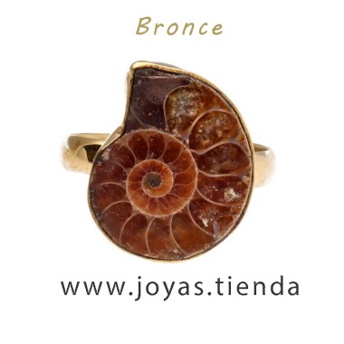 Anillo de Bronce Ajustable con Ammonite