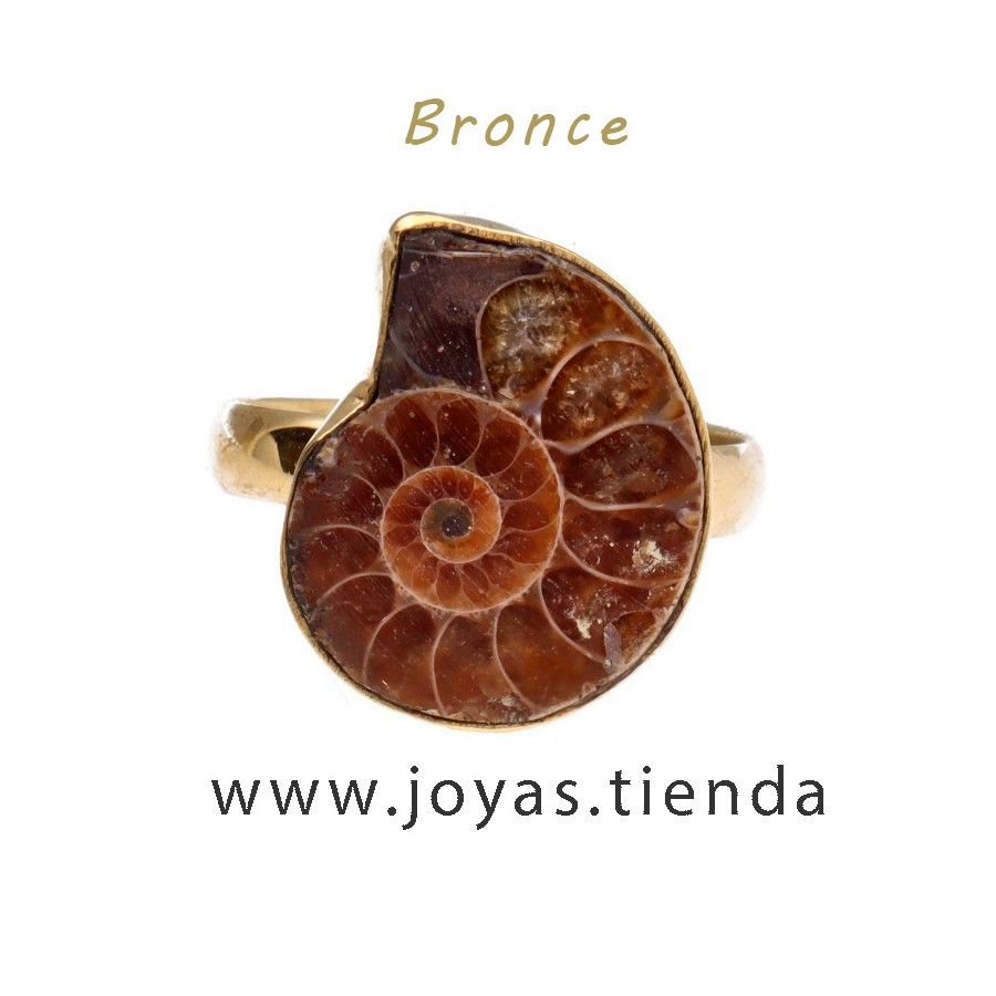 Anillo de Bronce Ajustable con Ammonite