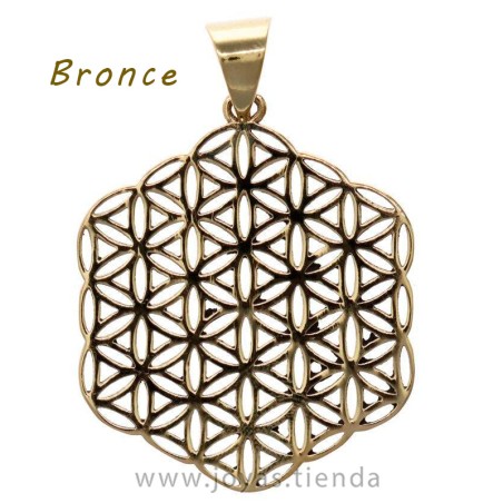 Colgante de Bronce Flor de Vida
