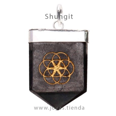 Colgante Shungit Semilla de Vida