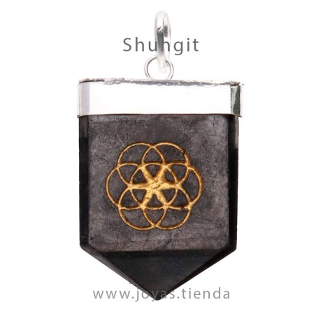 Colgante Shungit Semilla de Vida