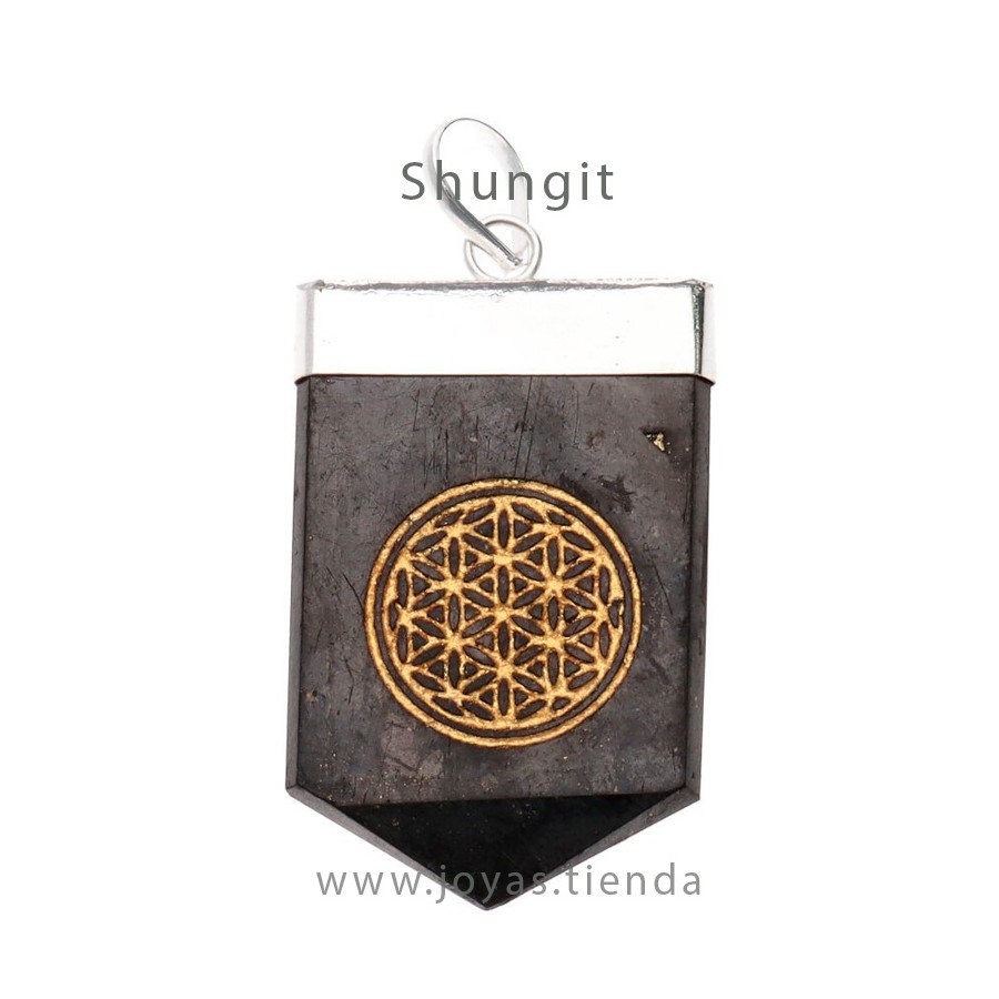 Colgante Shungit Flor de Vida