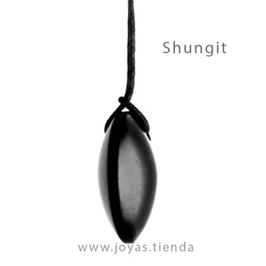 Colgante Shungit Disco